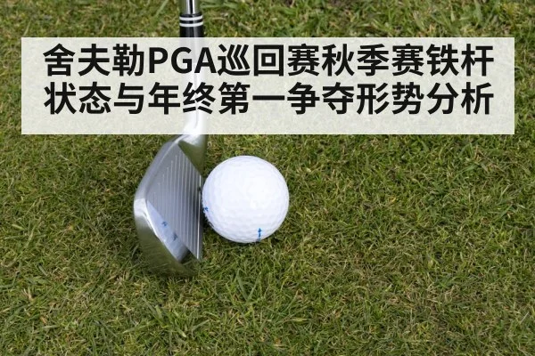 舍夫勒PGA巡回赛秋季赛铁杆状态与年终第一争夺形势分析